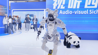 海天恋足网